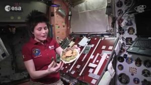 Space Cuisine Revealed: Samantha Cristoforetti's Zero-Gravity Cooking Secrets - Discover Italy