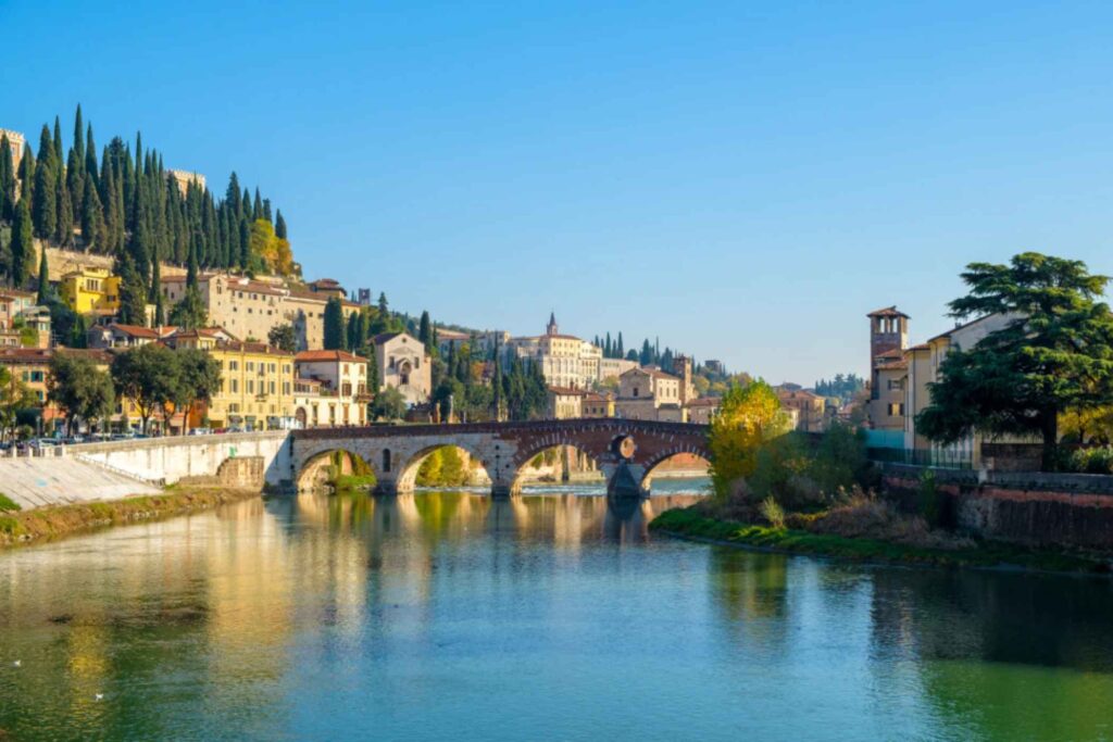 Animal-Related Idioms in Italian! -
