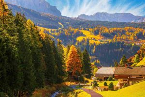 Italian idioms for fall! - Italian Language