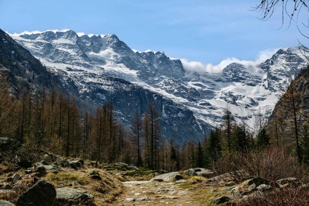 Alps