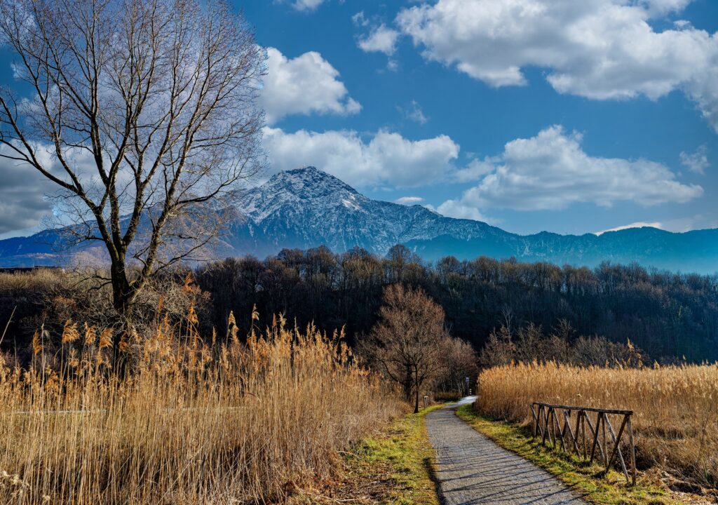 Hiking Lake Como: The Ultimate Guide to the Sentiero del Viandante -