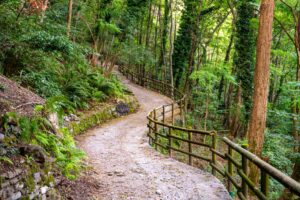 Hiking Lake Como: The Ultimate Guide to the Sentiero del Viandante - Italy Experience Guide