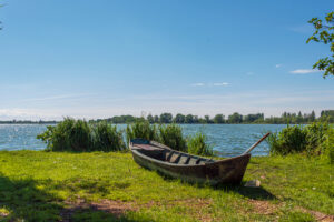 Summer in Mantua: Cruising Through a Paradise of Blooming Lotus Flowers - Italy Experience Guide