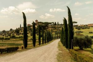 Italy Made Easy vs. Babbel: Which One Is Better for Italian? - Italian Language