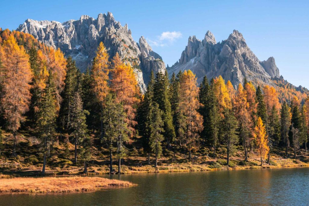 Italian idioms for fall! -