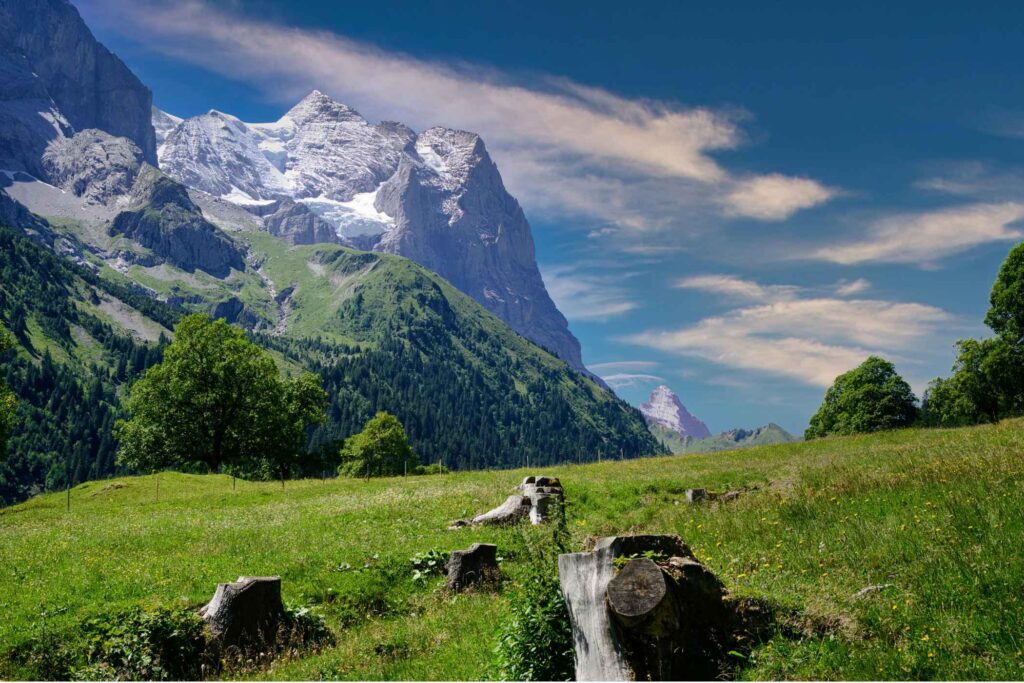The Essential Tips for Your Italian Journey -