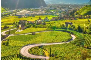 Tasting the Dolomites: A Guide to the Trentino Wine and Flavors Route - Italy Experience Guide