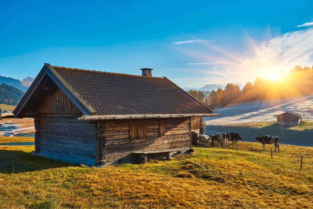 High-Altitude Flavors: The Living Heritage of Trentino’s Malghe 1 High-Altitude Flavors: The Living Heritage of Trentino’s Malghe -