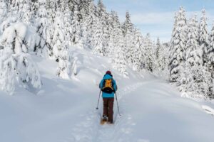 Silent Winter Magic: Snowshoeing the Untouched Trails of Trentino - Italy Experience Guide