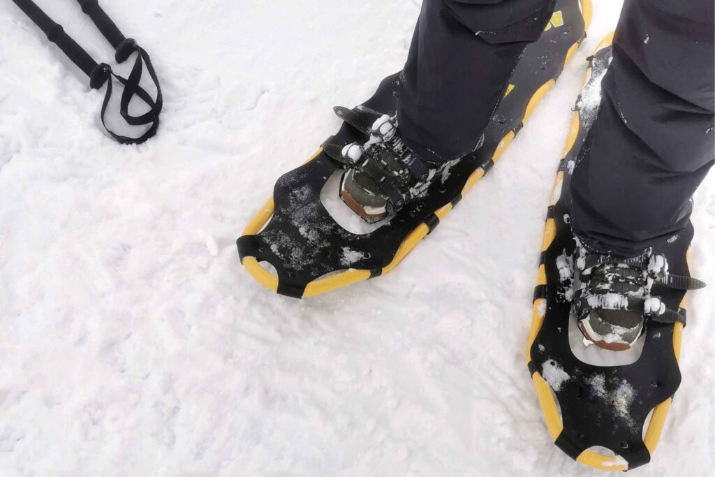 Silent Winter Magic: Snowshoeing the Untouched Trails of Trentino 1 Silent Winter Magic: Snowshoeing the Untouched Trails of Trentino -