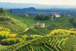 Slopes of Sparkle: Picnicking in the UNESCO Hills of Valdobbiadene - Italy Experience Guide