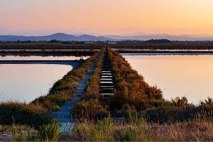 The Sweet Gold of Romagna: Exploring the Cervia Salt Pans - Italy Experience Guide