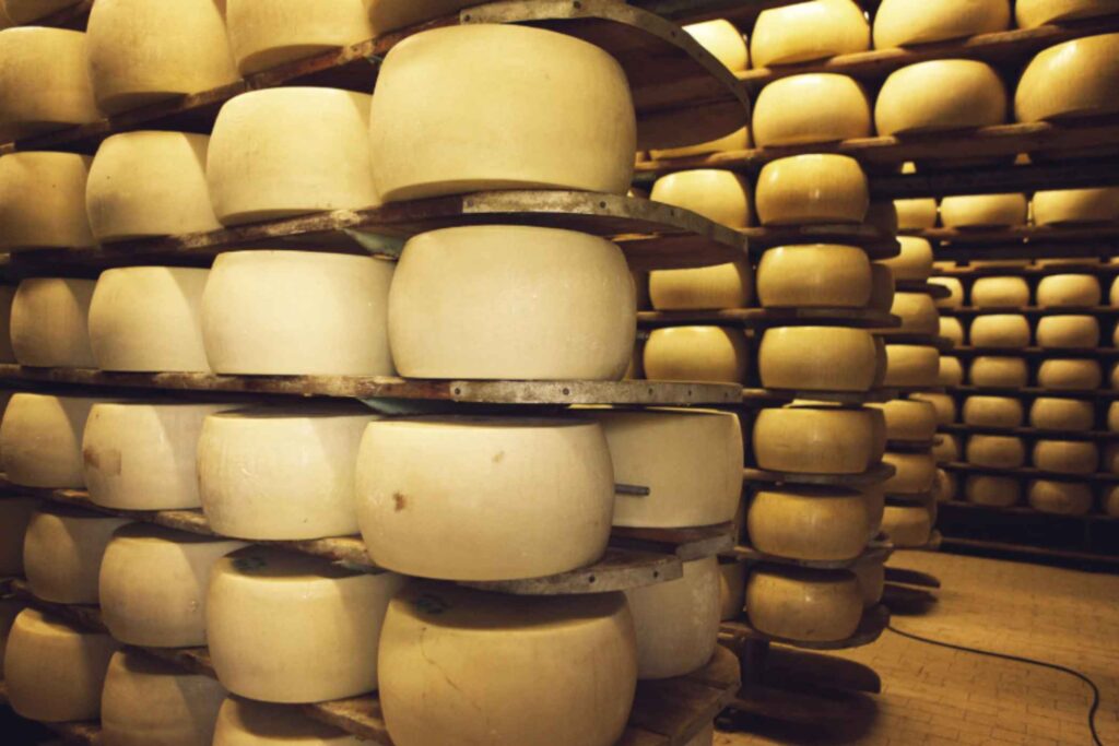 The King of Cheeses: A Guide to Parmigiano Reggiano Dairies  -