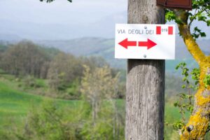 Walking with the Gods: Hiking the Historic Via degli Dei - Italy Experience Guide