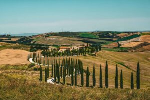 Rolling Hills & Fine Vintages: A Connoisseur’s Guide to the Tuscan Vineyards - Italy Experience Guide