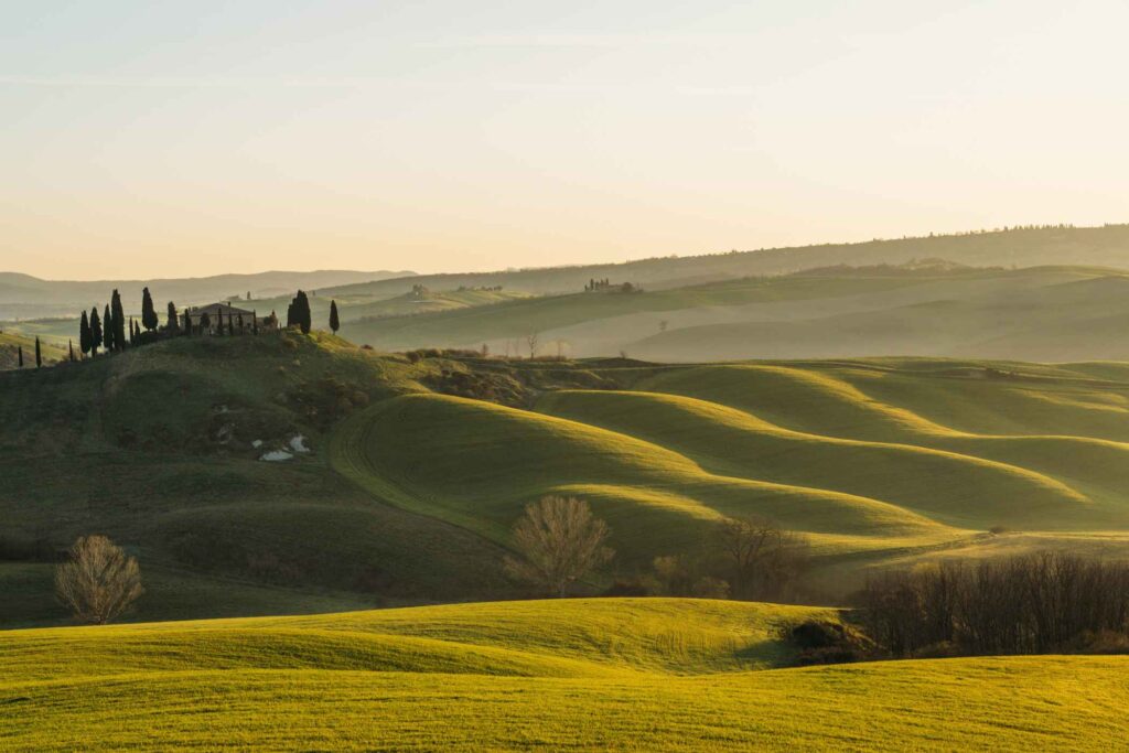 Rolling Hills & Fine Vintages: A Connoisseur’s Guide to the Tuscan Vineyards 1 Rolling Hills & Fine Vintages: A Connoisseur’s Guide to the Tuscan Vineyards -