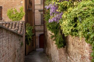 Artisanal Fibers & Historic Watermarks: A Guide to the Craft of Fabriano - Italy Experience Guide