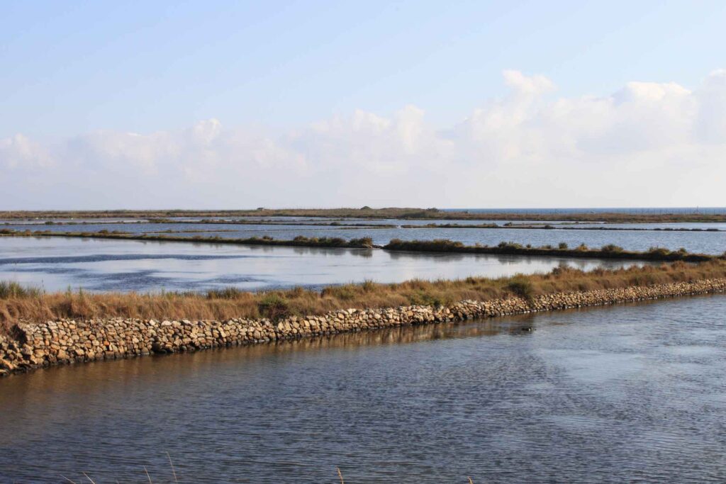 Coastal Pink Lagoons & Avian Sanctuaries: Enjoy the Tarquinia Salt Pans -