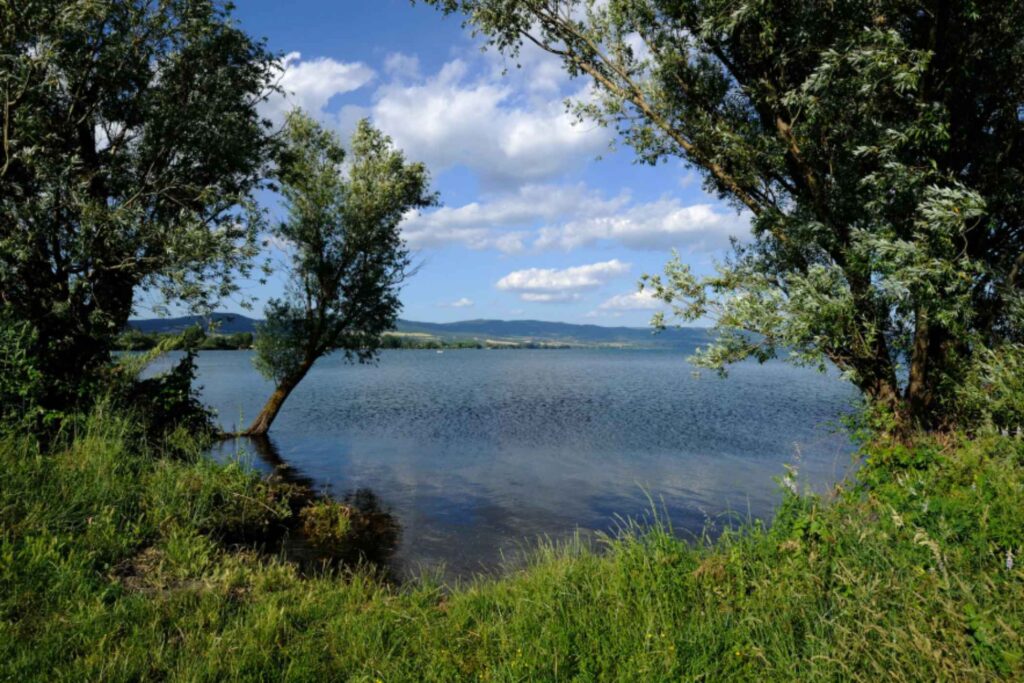 Volcanic Waters & Twin Islands: Exploring the Depths of Lake Bolsena 1 Volcanic Waters & Twin Islands: Exploring the Depths of Lake Bolsena -