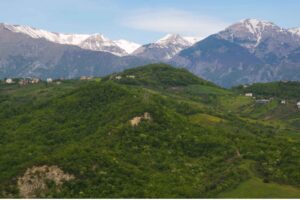 Vine-Draped Hills & Adriatic Waves: A Journey Along Abruzzo’s Wine Routes - Italy Experience Guide