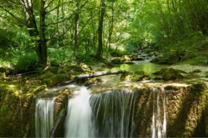 Mountain Hives & Sacred Solitude: Honey Tasting in Majella National Park - Italy Experience Guide