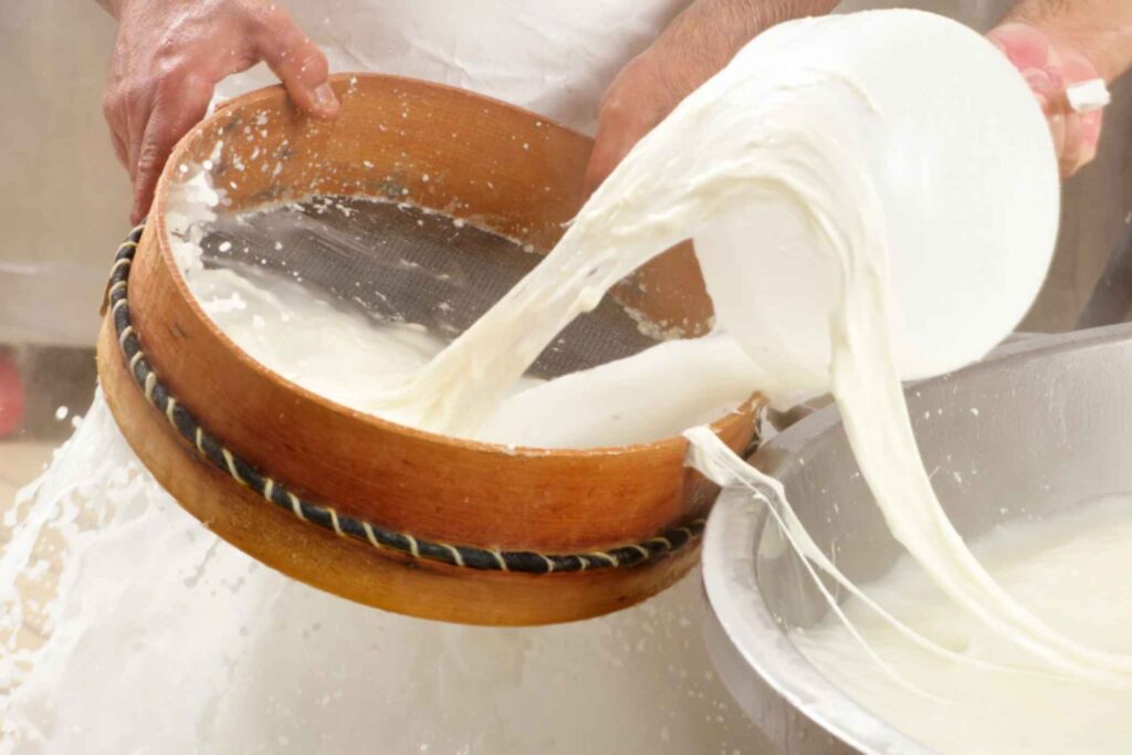 Soft Curds & Masterful Spinning: A Guide to Campania's Mozzarella Dairies -