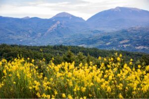 Gorges & Rushing Currents: River Walking in the Pollino National Park - Italy Experience Guide