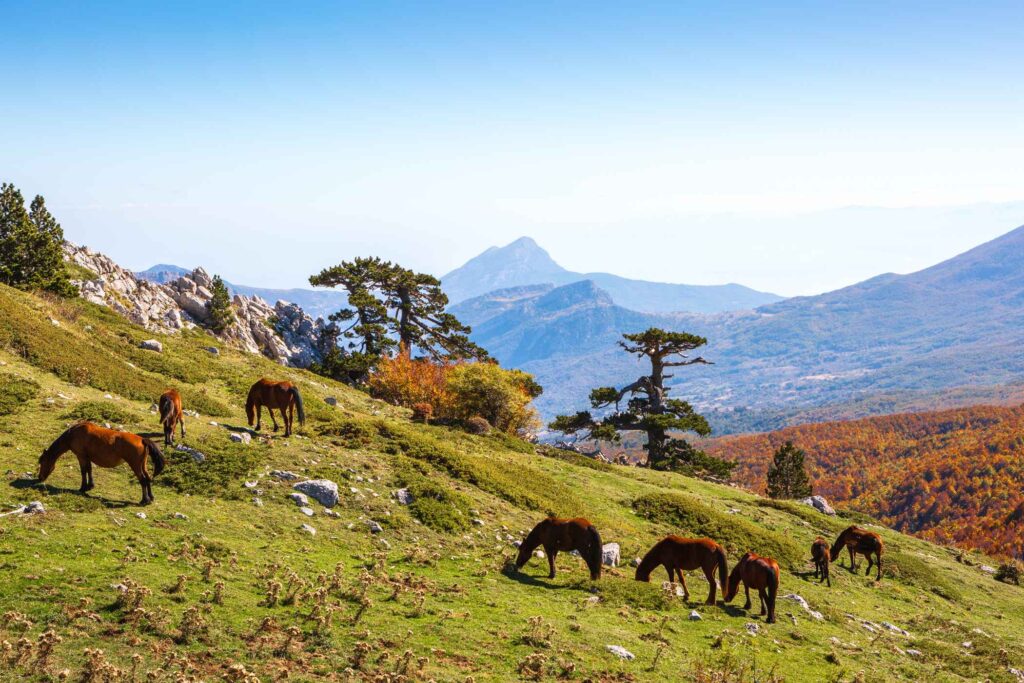 Gorges & Rushing Currents: River Walking in the Pollino National Park -
