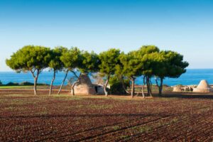 UNESCO Steps & Ancient Paths: Journeying Along the Matera Way - Italy Experience Guide