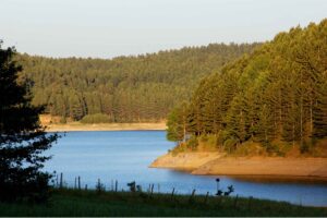 Steam Whistles & Alpine Forests: Journeying Aboard the Sila Train - Italy Experience Guide