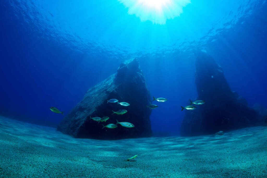 Azure Caverns & Limestone Cliffs: Boat Trips to Dino Island 1 Azure Caverns & Limestone Cliffs: Boat Trips to Dino Island -