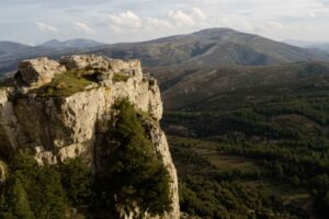 Wild Horizons & Aged Wheels: Cheese Tasting in the Mountain Dairies of Barbagia - Italy Experience Guide