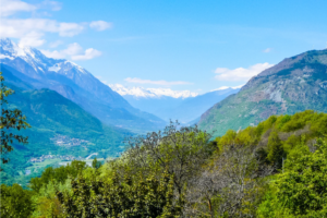 Discovering Genepy in the Aosta Valley - Italy Experience Guide