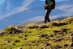 Steps Through Time: From the Heart of Gran Paradiso to the Via Francigena - Italy Experience Guide