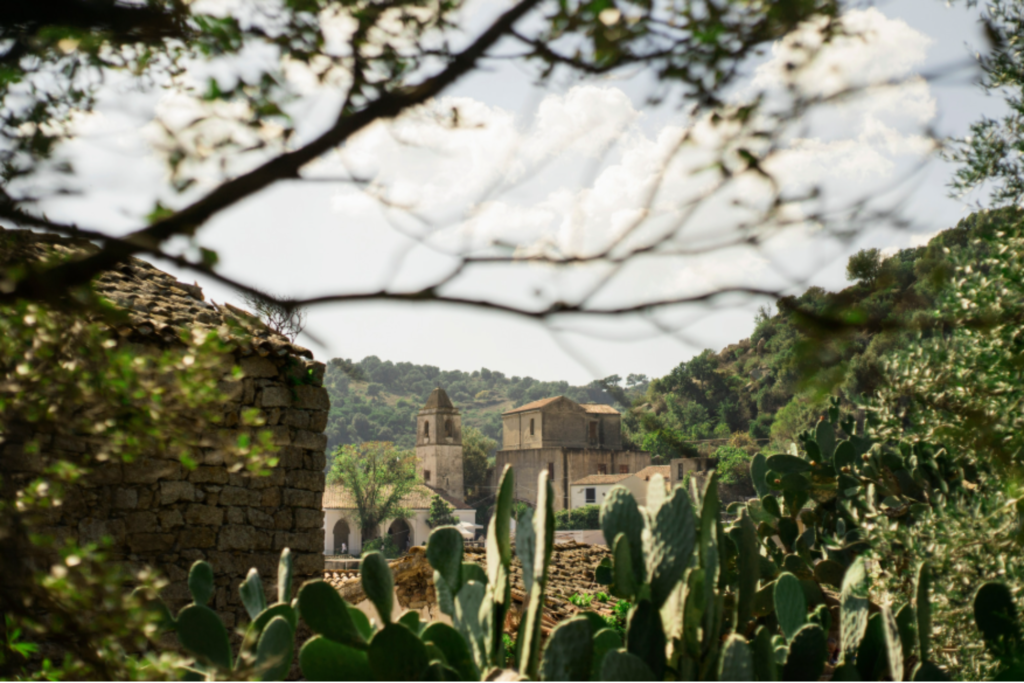 Wild Horizons & Aged Wheels: Cheese Tasting in the Mountain Dairies of Barbagia -